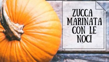 122335079_3843096739033944_1078133994191455328_n