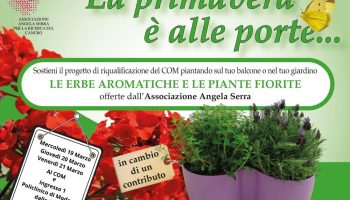 la-primavera-angelaserra