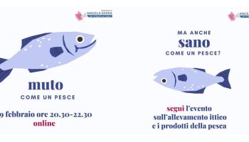 pesce