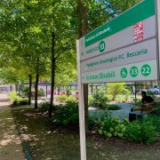 WhatsApp Image 2025-07-09 at 13.23.46 (1)