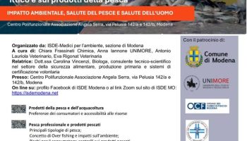 seminario-Iannone-19-02-25